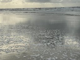 Zandvoort 2024